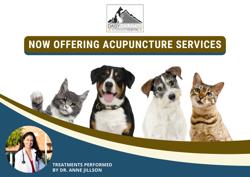 Carousel Slide 1: Learn more >