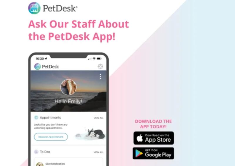 Carousel Slide 7: Download our convenient pet app!